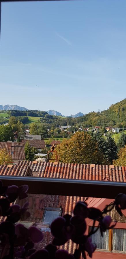 Auszeit Am Traunsee Altmuenster Bagian luar foto